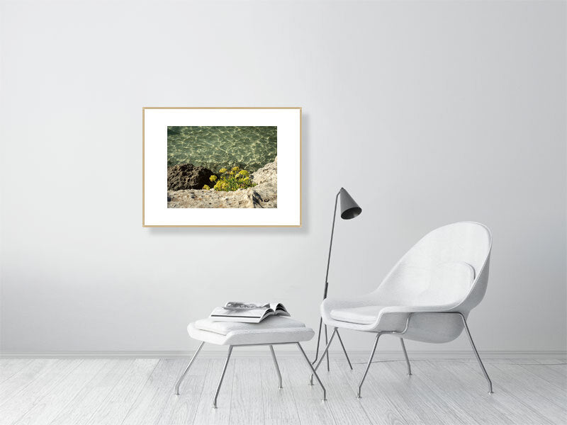 Meerfenchel, Cala Mitjana Menorca - Print gerahmt - Fotograf Thomas Malek in Rohrenfels, Neuburg an der Donau, Ingolstadt, Schrobenhausen, Donauwörth
