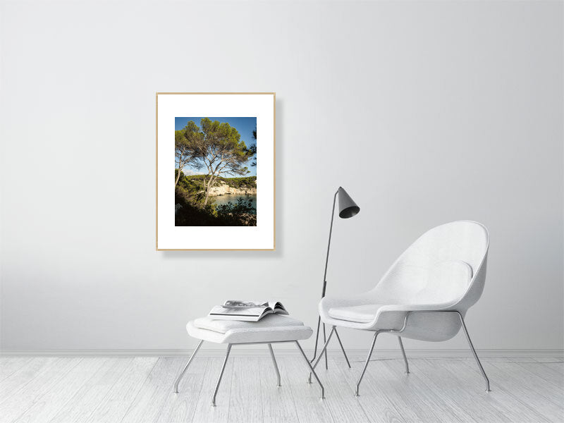 Pinien an der Cala Mitjana Menorca - Print gerahmt - Fotograf Thomas Malek in Rohrenfels, Neuburg an der Donau, Ingolstadt, Schrobenhausen, Donauwörth