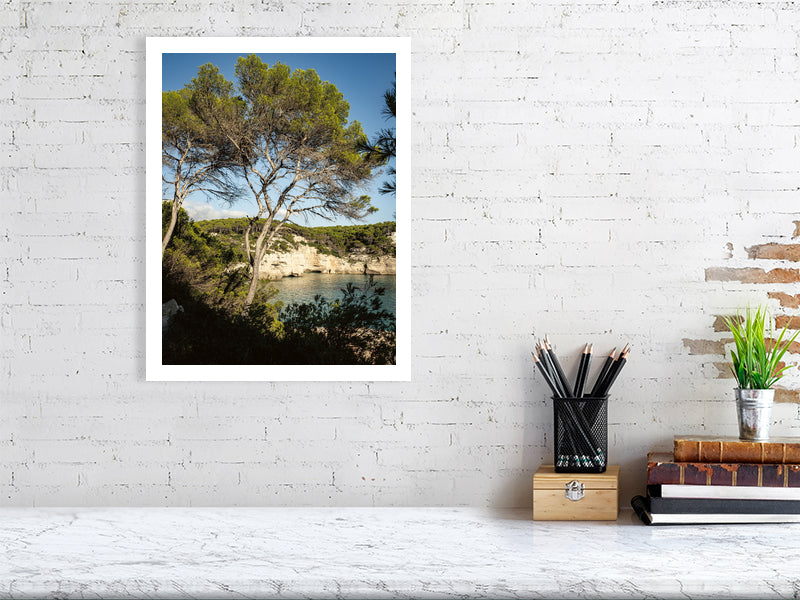 Pinien an der Cala Mitjana Menorca - Print - Fotograf Thomas Malek in Rohrenfels, Neuburg an der Donau, Ingolstadt, Schrobenhausen, Donauwörth