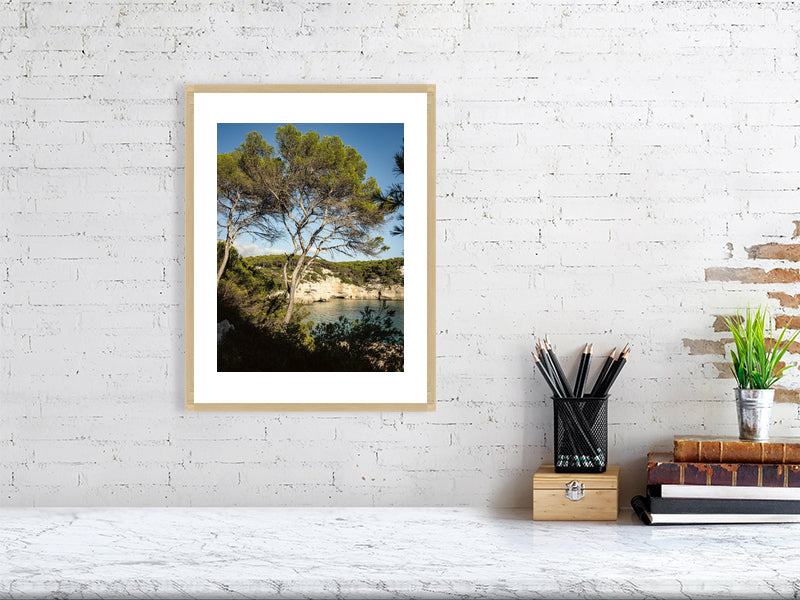 Pinien an der Cala Mitjana Menorca - Print gerahmt - Fotograf Thomas Malek in Rohrenfels, Neuburg an der Donau, Ingolstadt, Schrobenhausen, Donauwörth