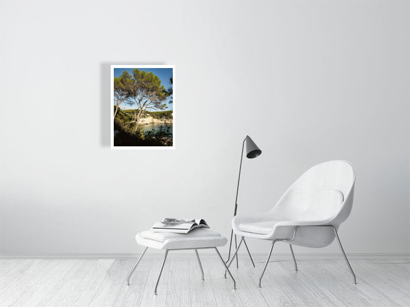 Pinien an der Cala Mitjana Menorca - Print - Fotograf Thomas Malek in Rohrenfels, Neuburg an der Donau, Ingolstadt, Schrobenhausen, Donauwörth
