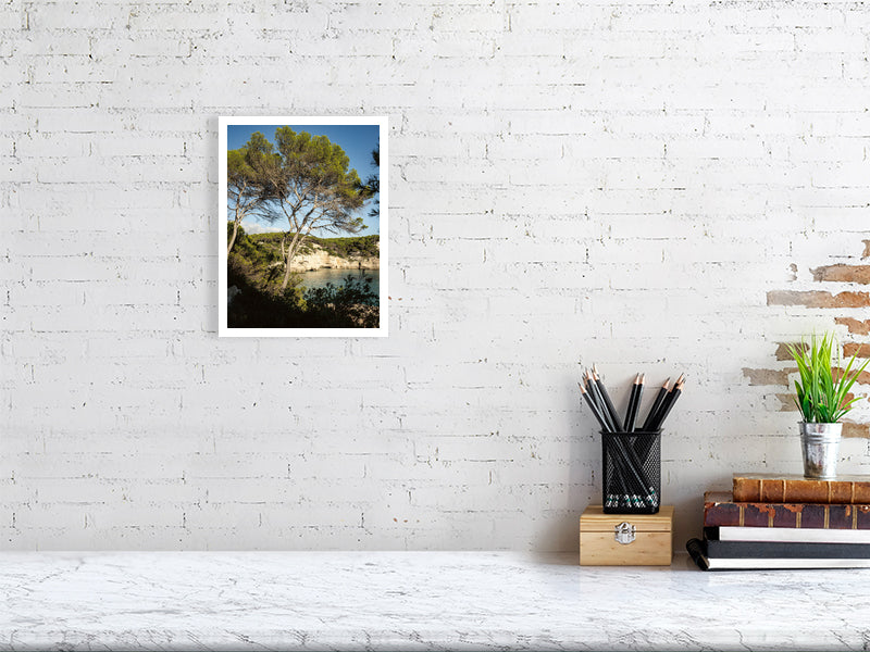 Pinien an der Cala Mitjana Menorca - Print - Fotograf Thomas Malek in Rohrenfels, Neuburg an der Donau, Ingolstadt, Schrobenhausen, Donauwörth