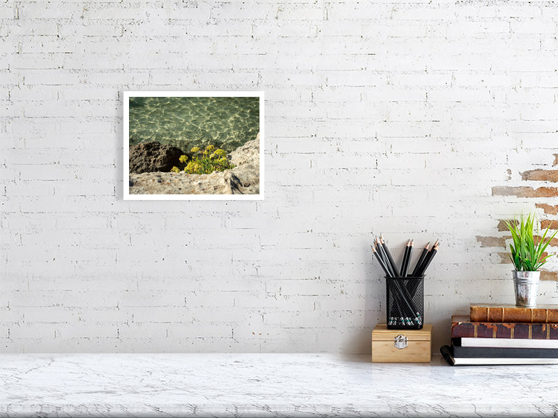 Meerfenchel, Cala Mitjana Menorca - Print - Fotograf Thomas Malek in Rohrenfels, Neuburg an der Donau, Ingolstadt, Schrobenhausen, Donauwörth