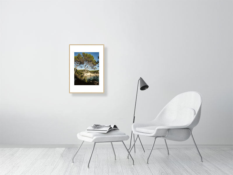 Pinien an der Cala Mitjana Menorca - Print gerahmt - Fotograf Thomas Malek in Rohrenfels, Neuburg an der Donau, Ingolstadt, Schrobenhausen, Donauwörth