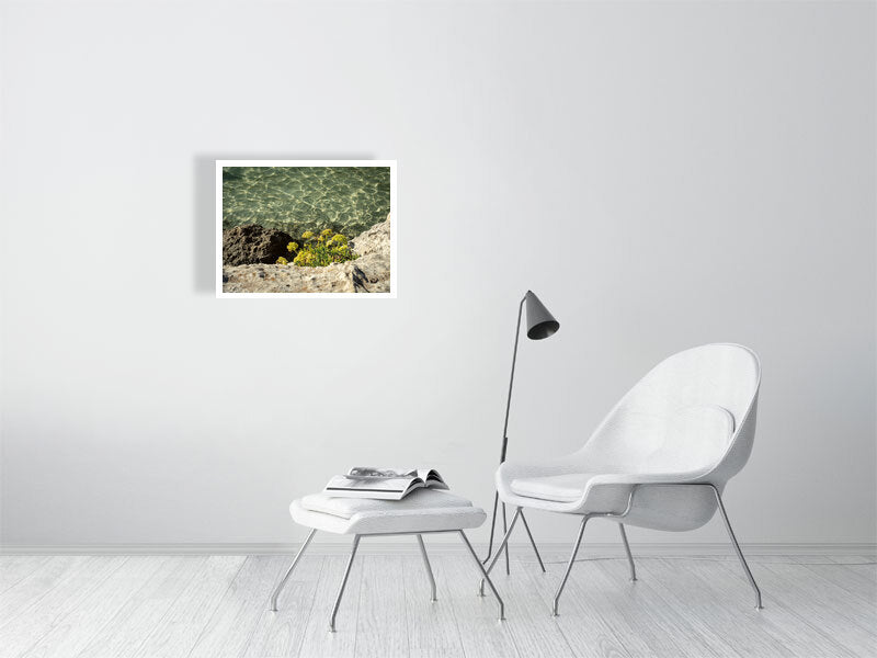 Meerfenchel, Cala Mitjana Menorca - Print - Fotograf Thomas Malek in Rohrenfels, Neuburg an der Donau, Ingolstadt, Schrobenhausen, Donauwörth