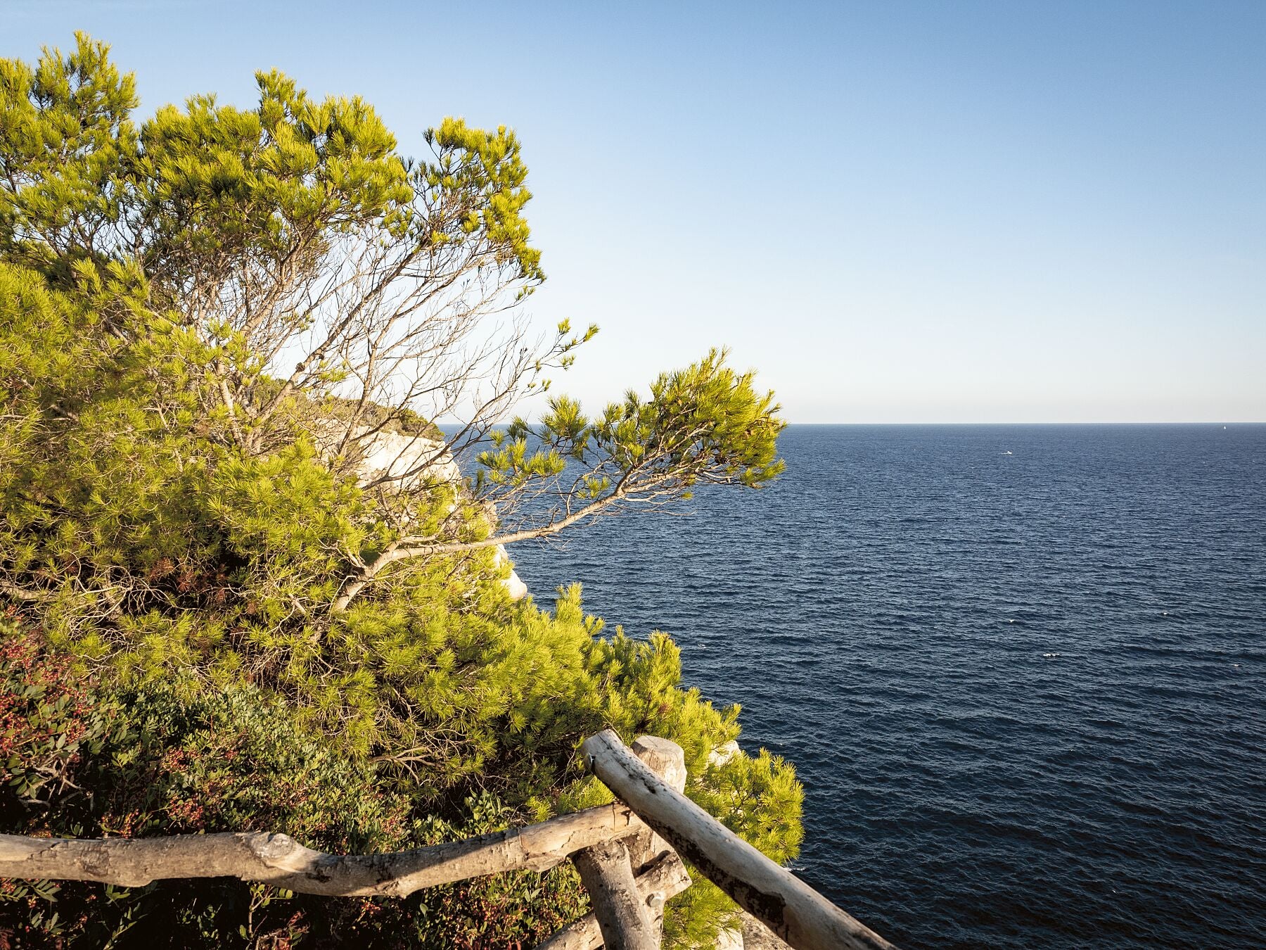Viewpoint Mediterraneo Cala Galdana Menorca - Fotograf Thomas Malek in Rohrenfels, Neuburg an der Donau, Ingolstadt, Schrobenhausen, Donauwörth