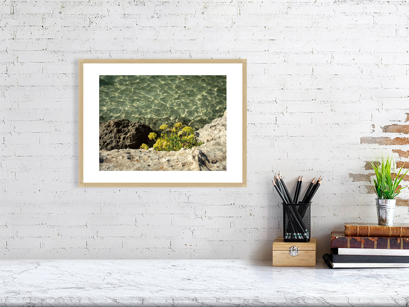 Meerfenchel, Cala Mitjana Menorca - Print gerahmt - Fotograf Thomas Malek in Rohrenfels, Neuburg an der Donau, Ingolstadt, Schrobenhausen, Donauwörth